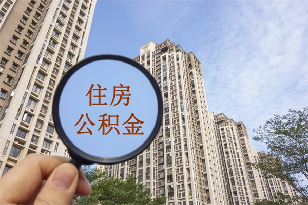 公积金怎么一次性全部提取-浮梁公积金代办平台